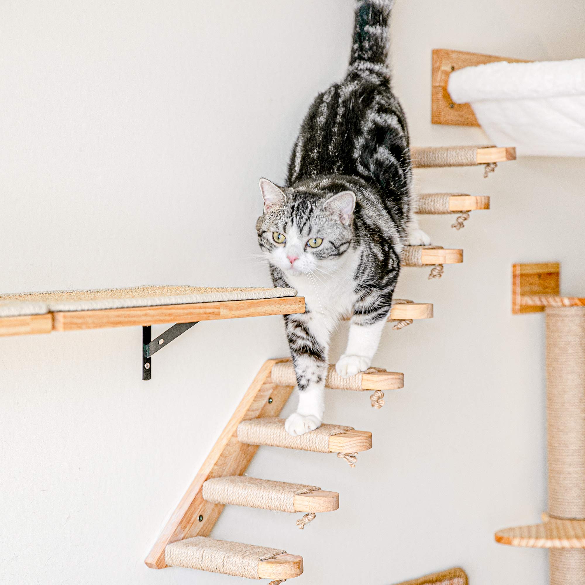 FUKUMARU Cat Climbing Shelf jute scratching feature encourages healthy scratching and interactive use.