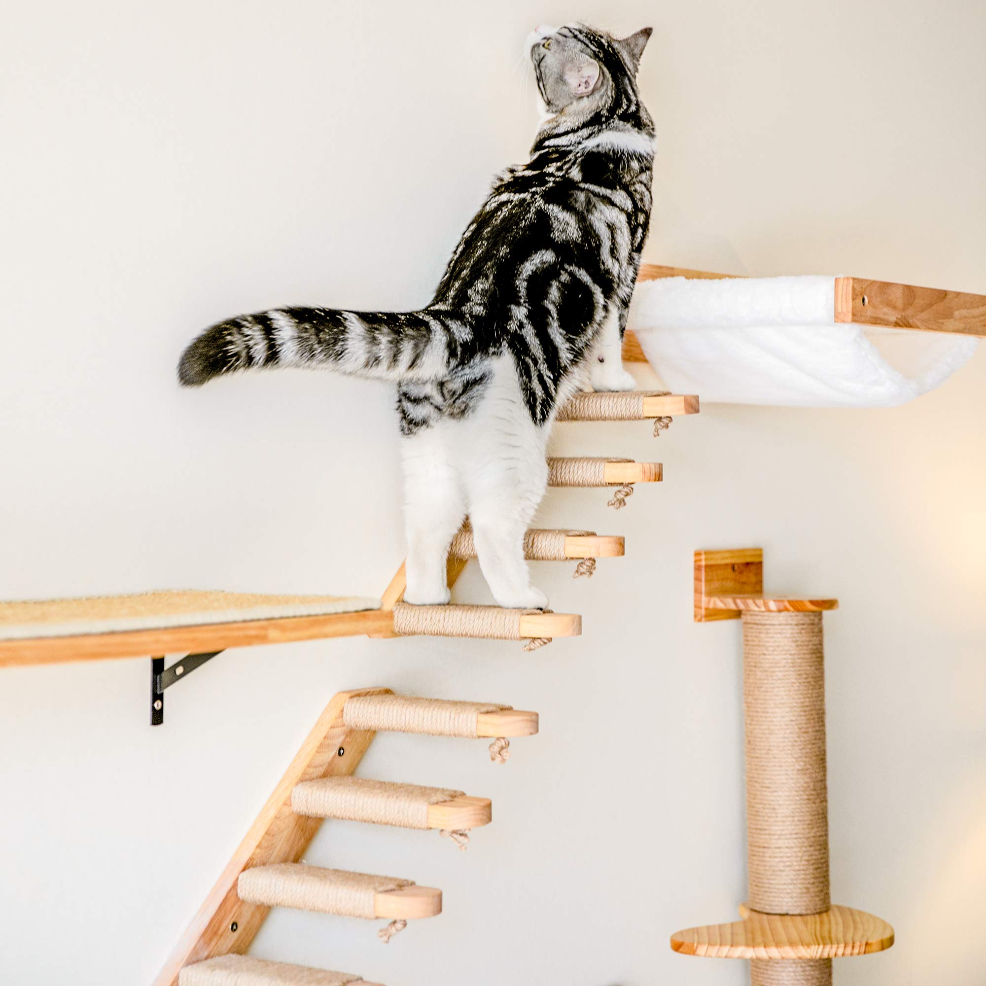 FUKUMARU Cat Climbing Shelf room decor integration blends with most home styles.