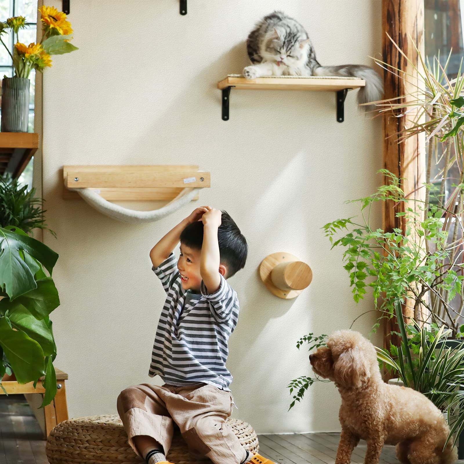 FUKUMARU cat climbing-steps-pack shows multiple levels for climbing and exercise.