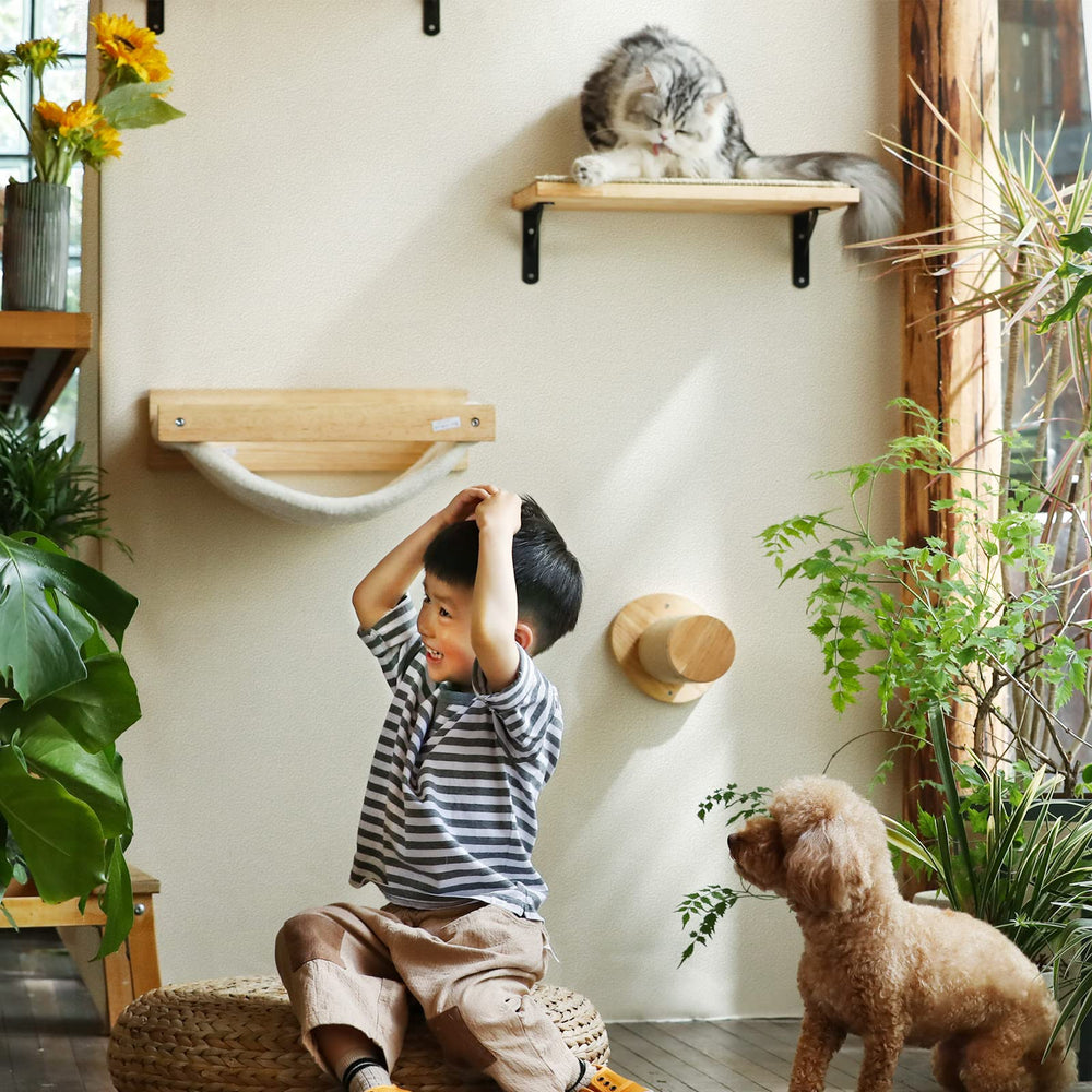FUKUMARU cat climbing-steps-pack shows multiple levels for climbing and exercise.