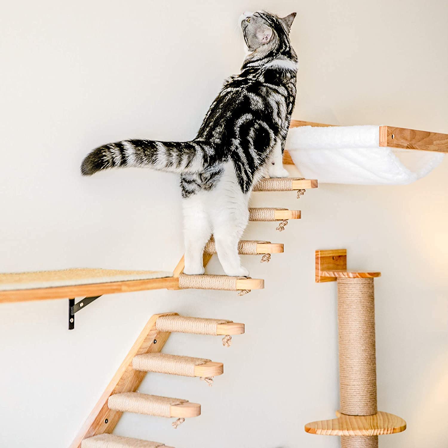 FUKUMARU cat hammock climbing shelf portrays playful vertical exercise and exploration.