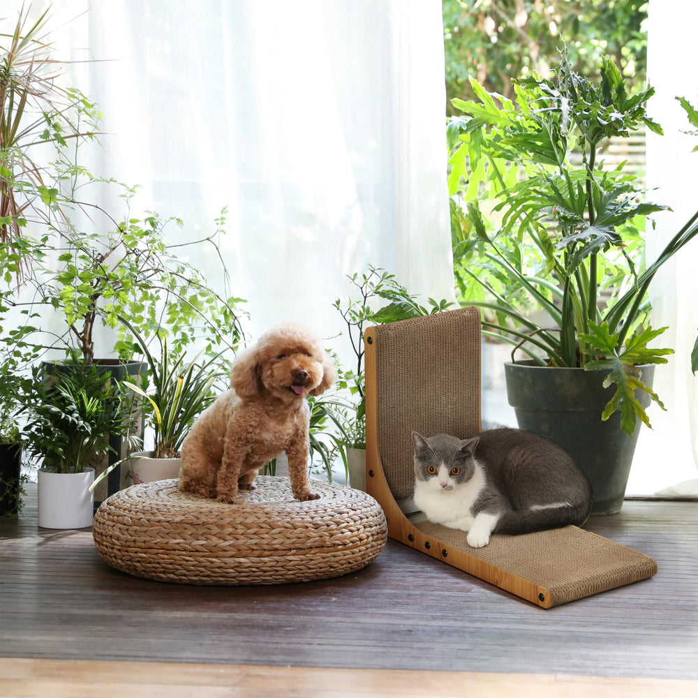 FUKUMARU-prone-cat-house-comfort delivers cozy lounging space and versatile scratch area