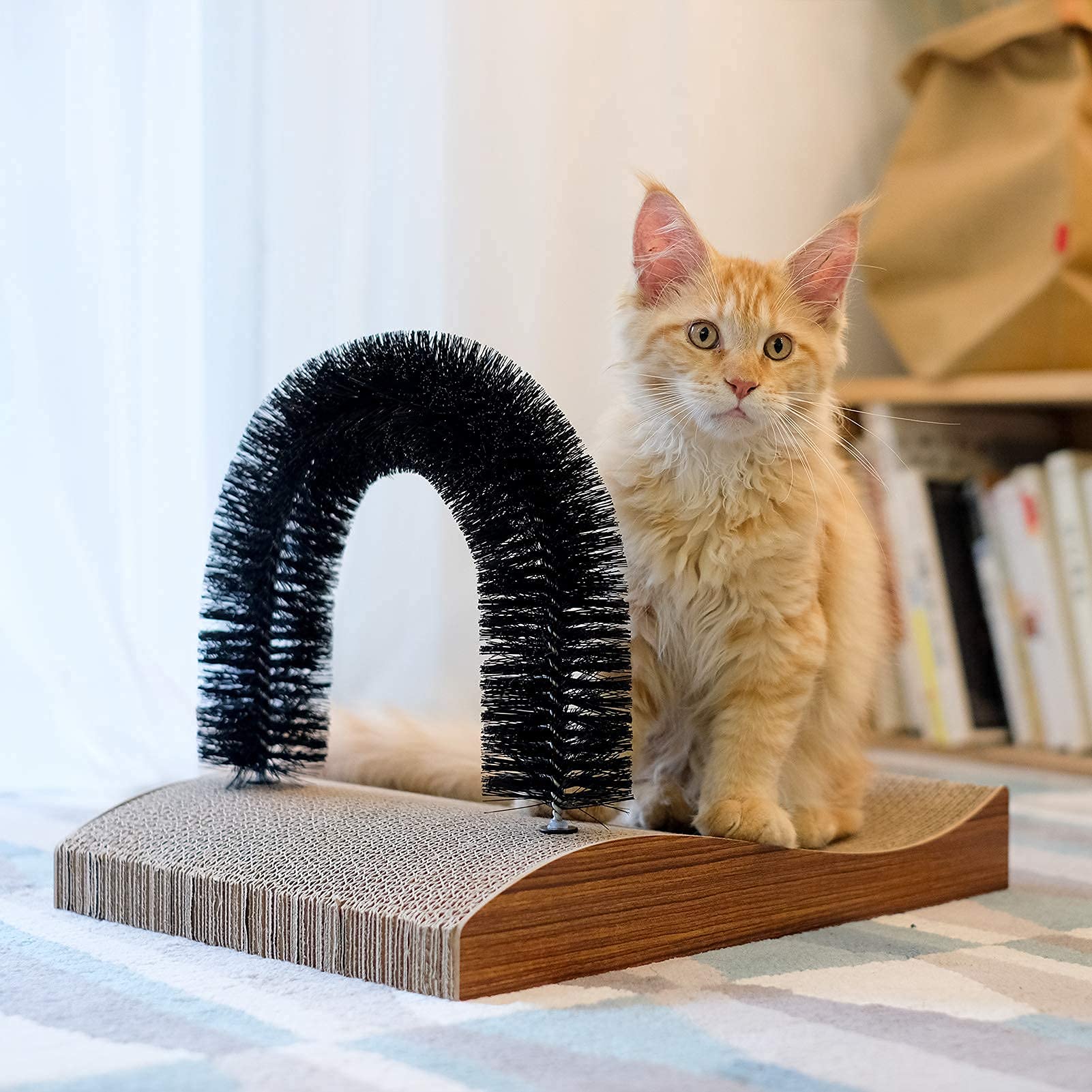 FUKUMARU cat lounge area shows built-in territory and relaxation space.