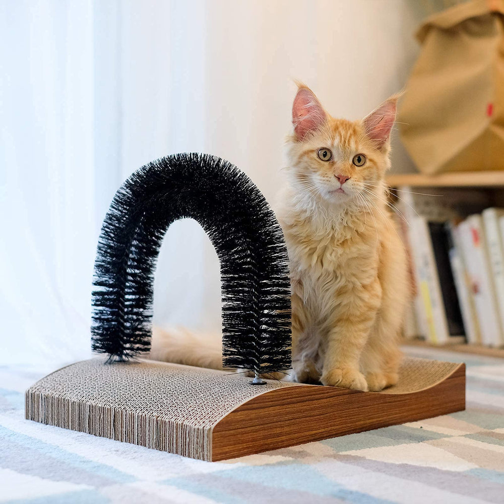 FUKUMARU cat lounge area shows built-in territory and relaxation space.