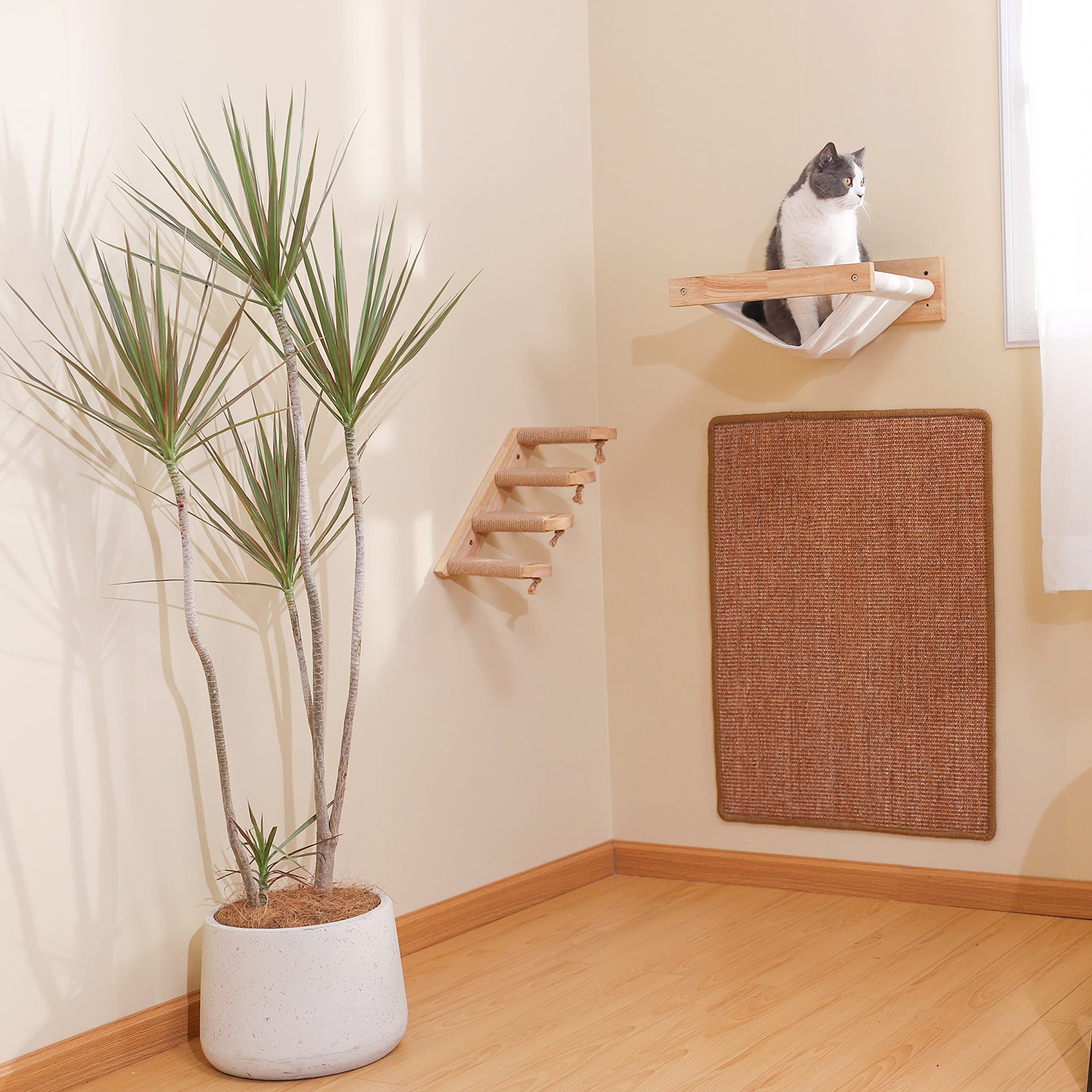 FUKUMARU cat-napping-on-mat illustrates versatile resting spot