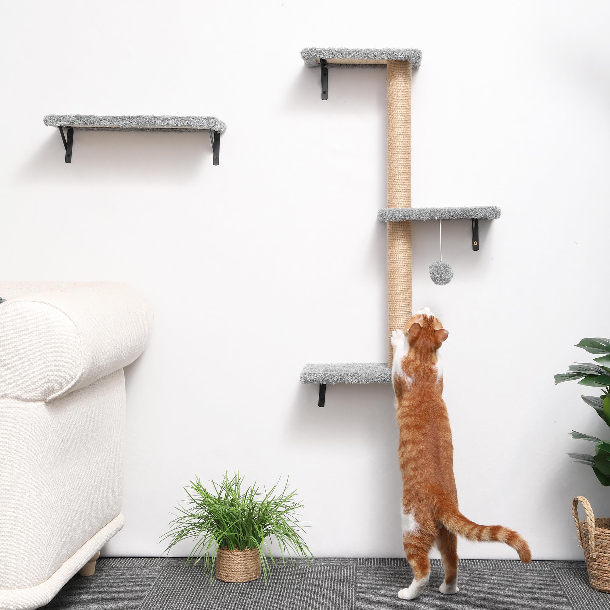 FUKUMARU cat private territory: exclusive space reduces conflicts and boosts calm behavior.