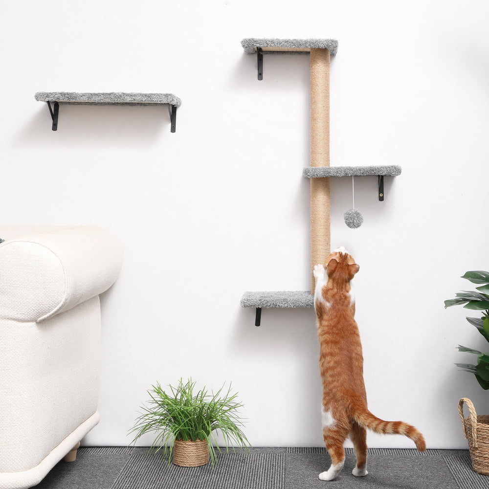FUKUMARU cat private territory: exclusive space reduces conflicts and boosts calm behavior.