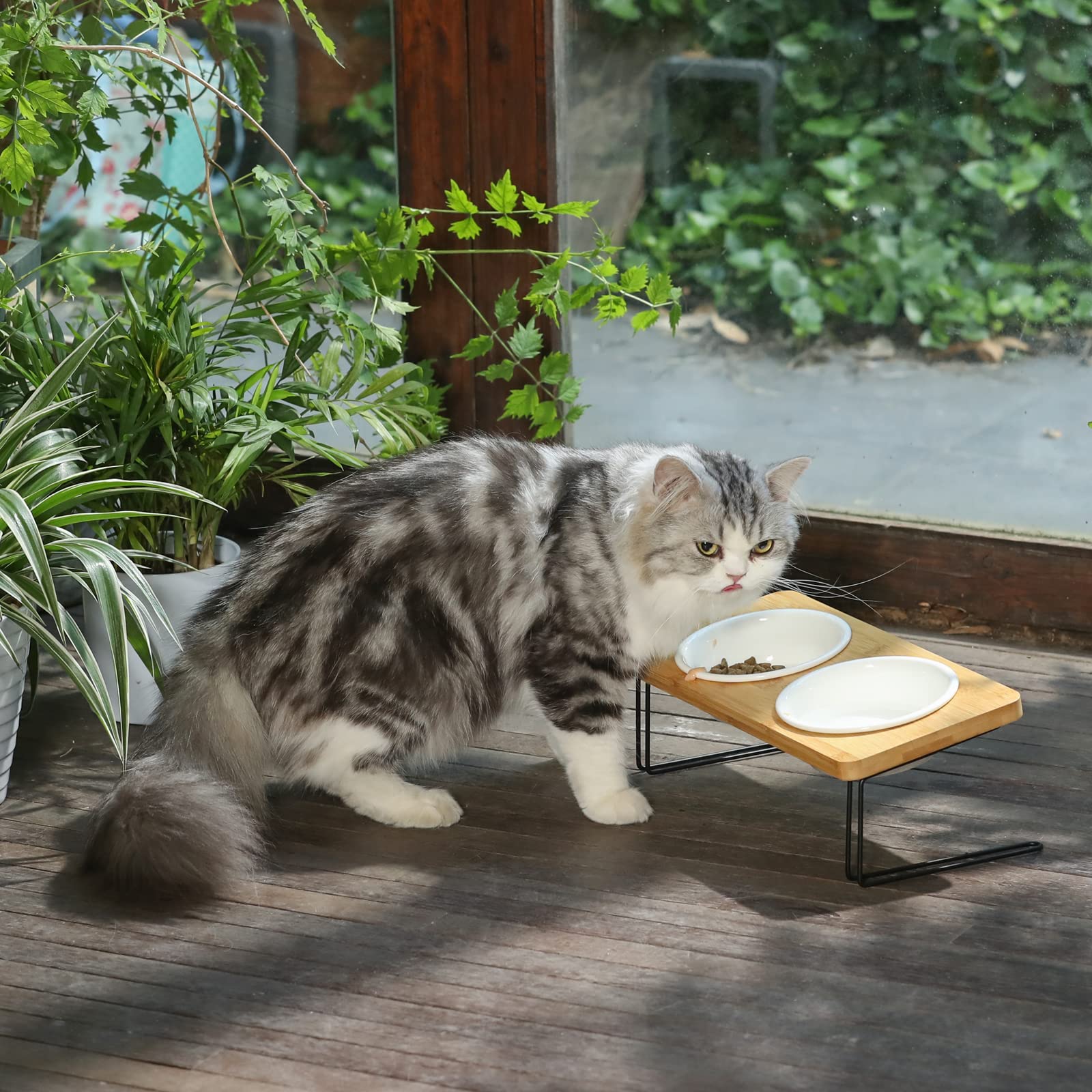 FUKUMARU cat and puppy-friendly dimensions support comfortable eating.