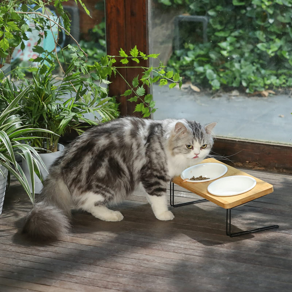 FUKUMARU cat and puppy-friendly dimensions support comfortable eating.