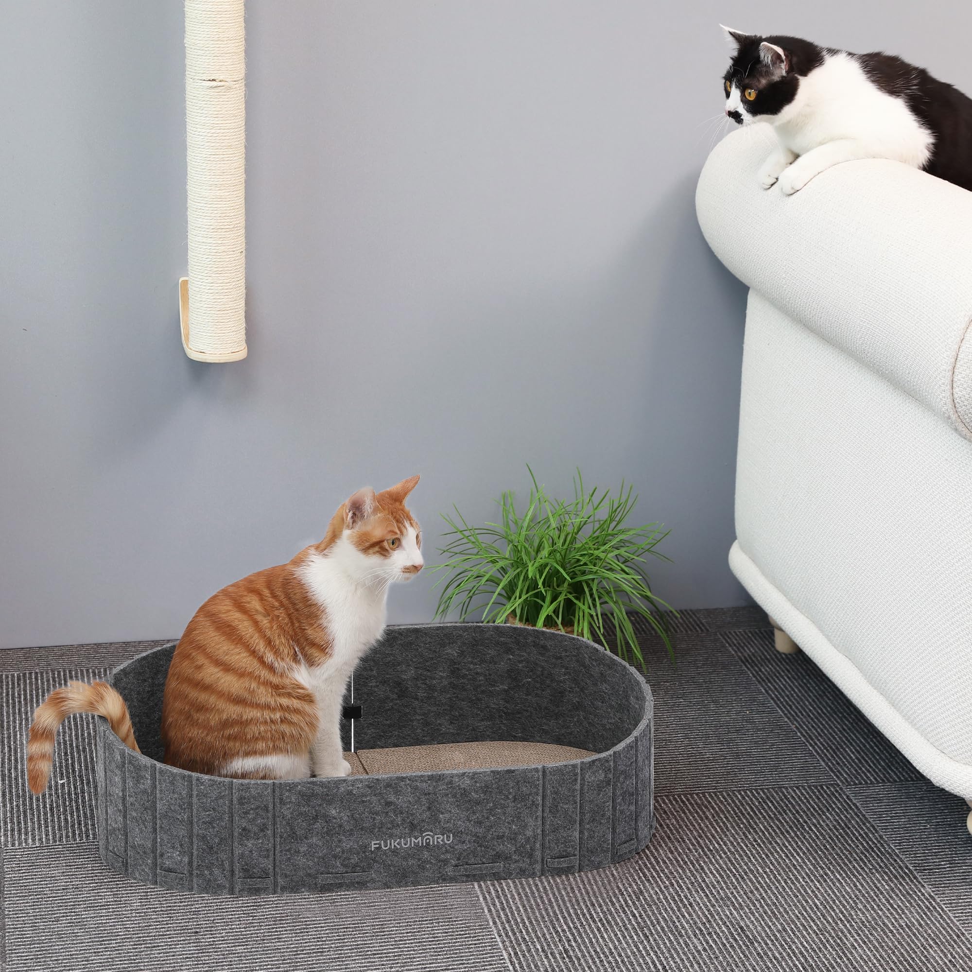 FUKUMARU warm natural felt surface provides quiet paw protection and cozy warmth