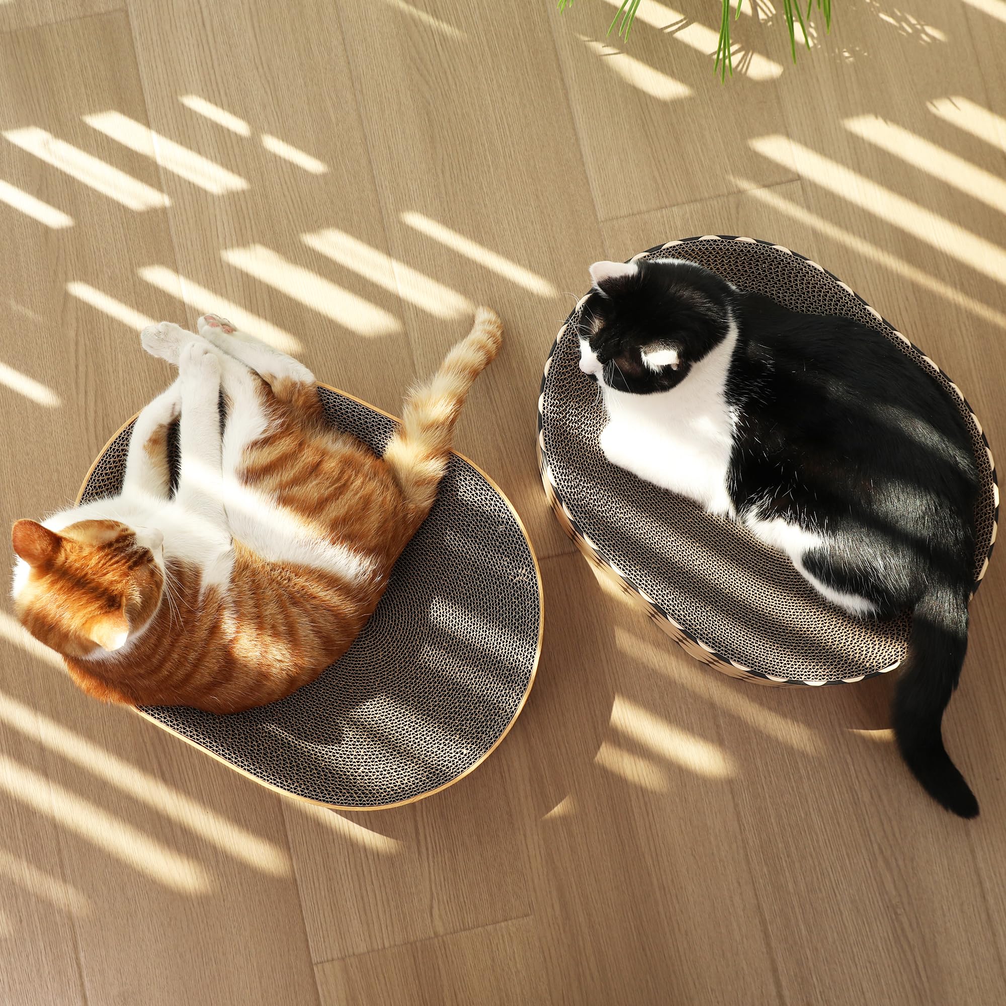 FUKUMARU Cat Scratcher Lounge Bed material-detail emphasizes non-toxic adhesive and durability.