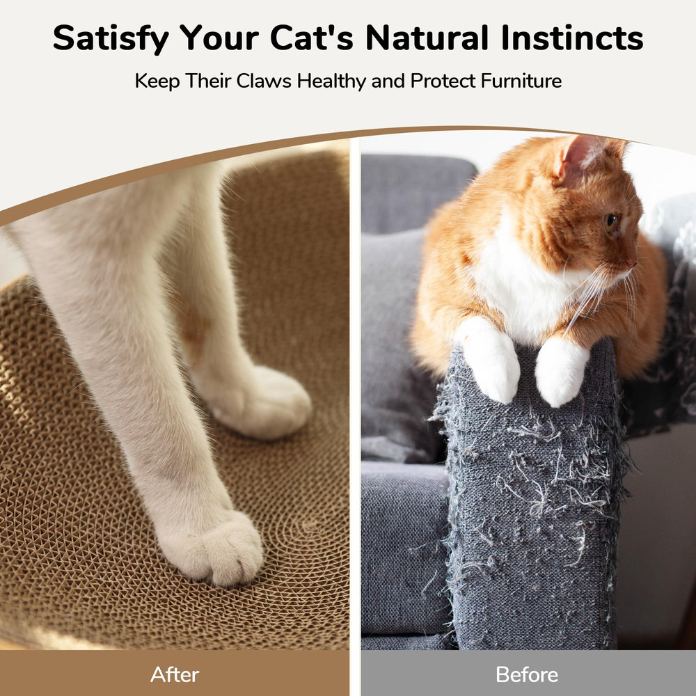 FUKUMARU Cat Scratcher Lounge Bed open-base view shows contained scratch area.