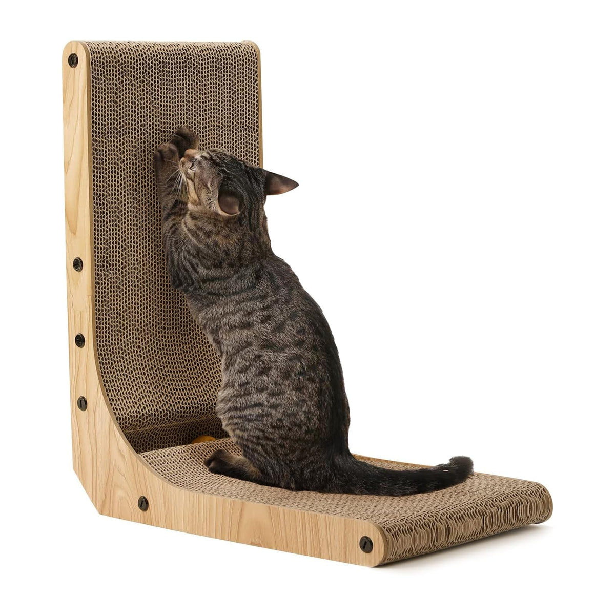 FUKUMARU cat scratcher wall-mount front view shows space-saving design for small rooms.