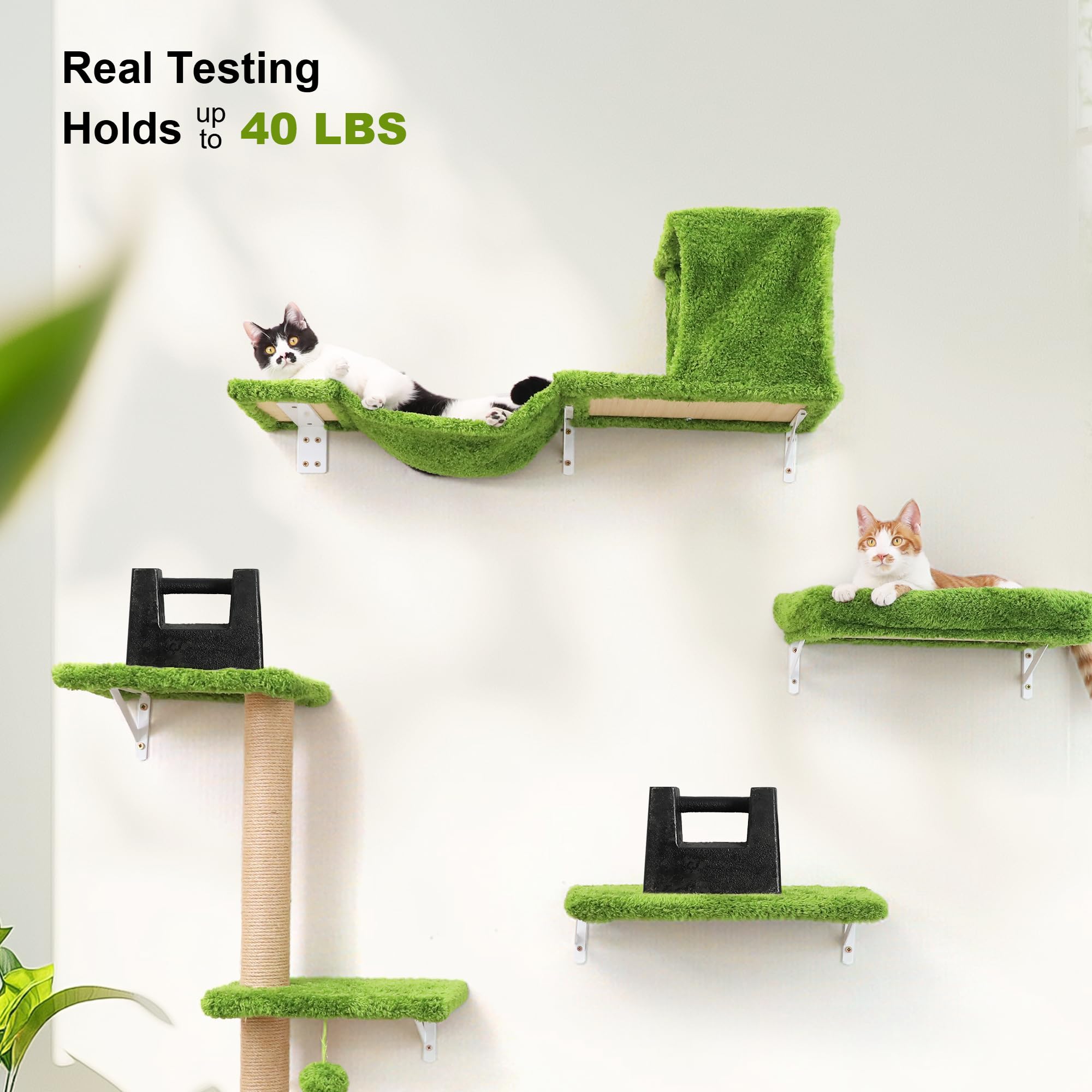 FUKUMARU cat scratching post durable provides lasting clawing outlet