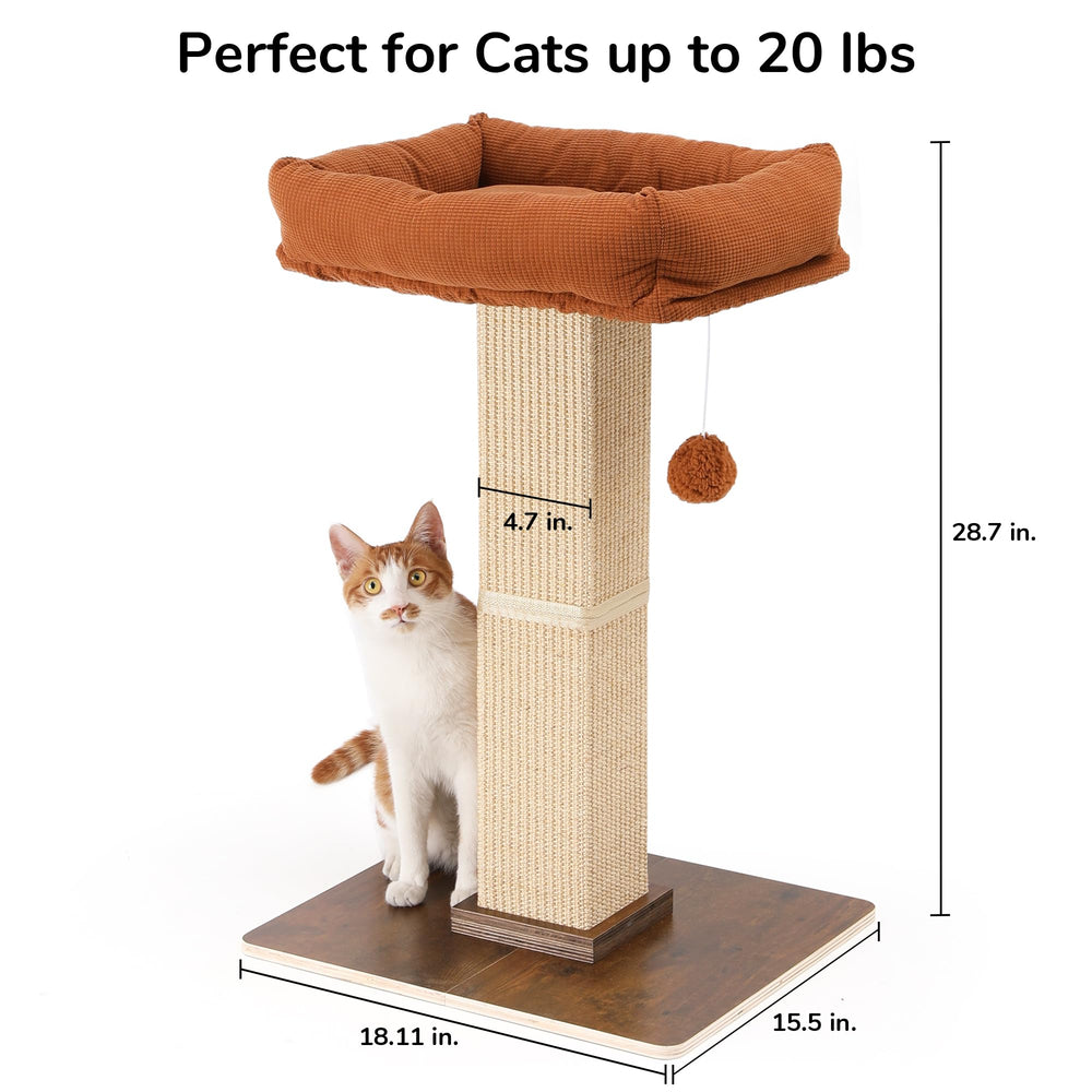 FUKUMARU thick base design minimizes tipping during enthusiastic scratching.