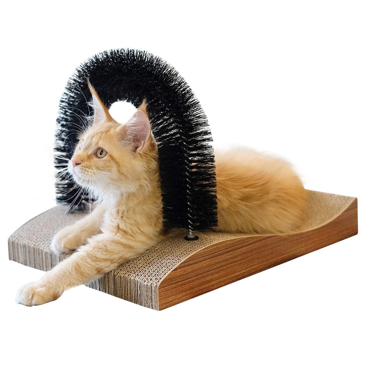 FUKUMARU cat self-groomer arch demonstrates massaging grooming and play action.
