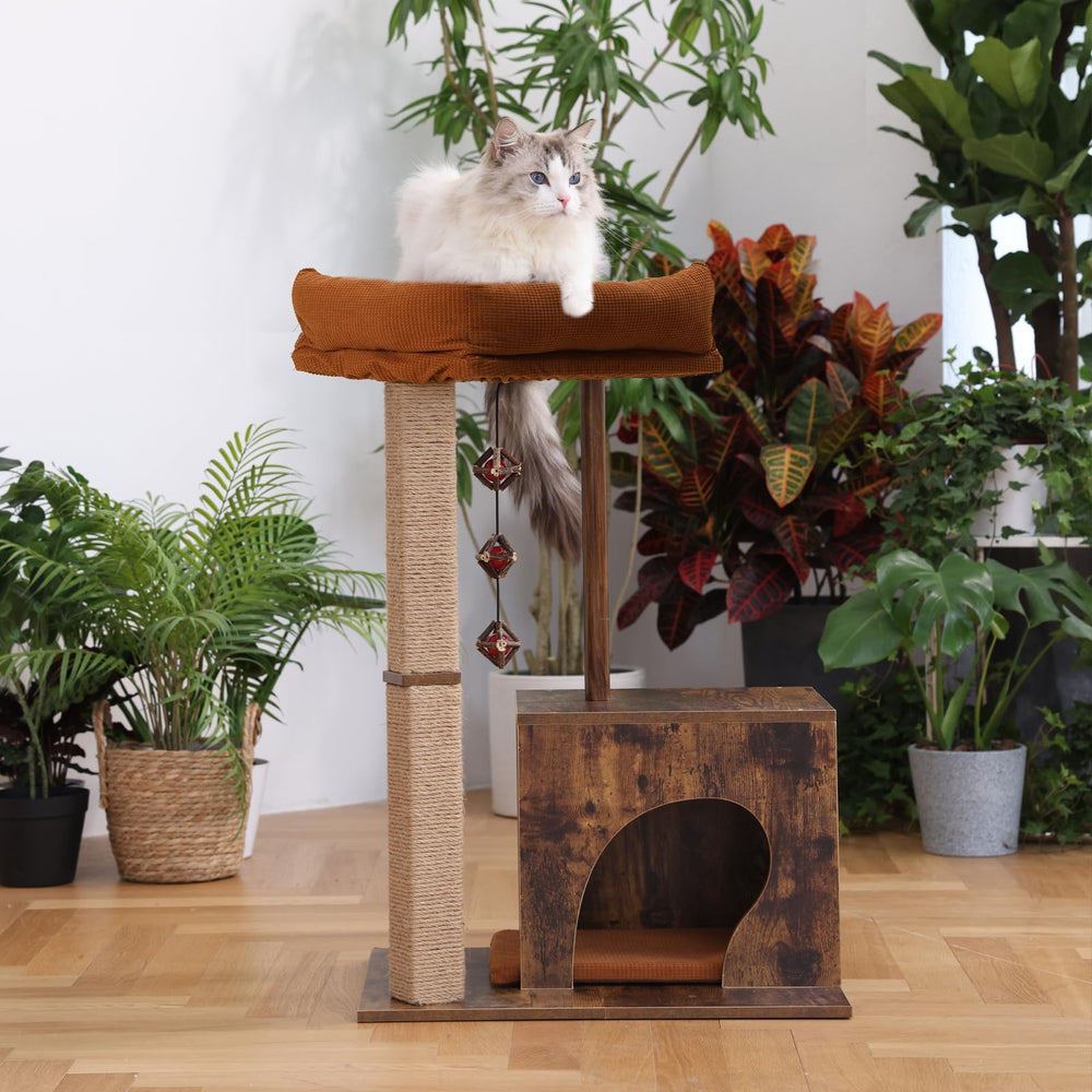FUKUMARU wooden-cat-tree silvervine-ball invites interactive play and dental-chewing fun.