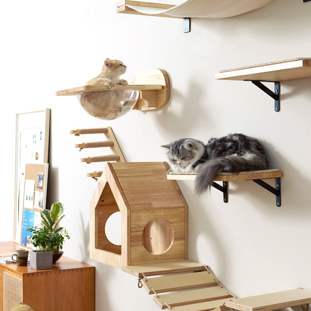FUKUMARU cat wall DIY design creates multi-level climbing zones for active cats