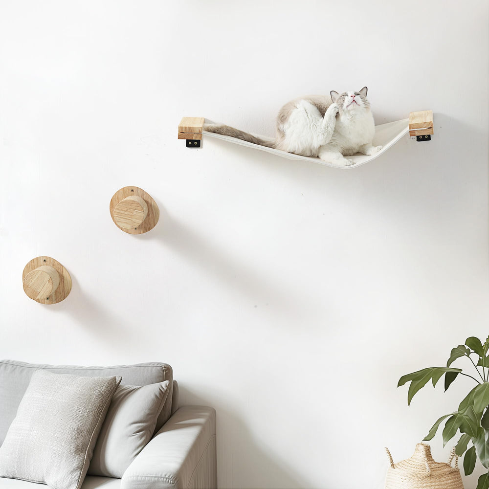 FUKUMARU cat wall furniture setup shows sturdy two-shelf system mounted on the wall