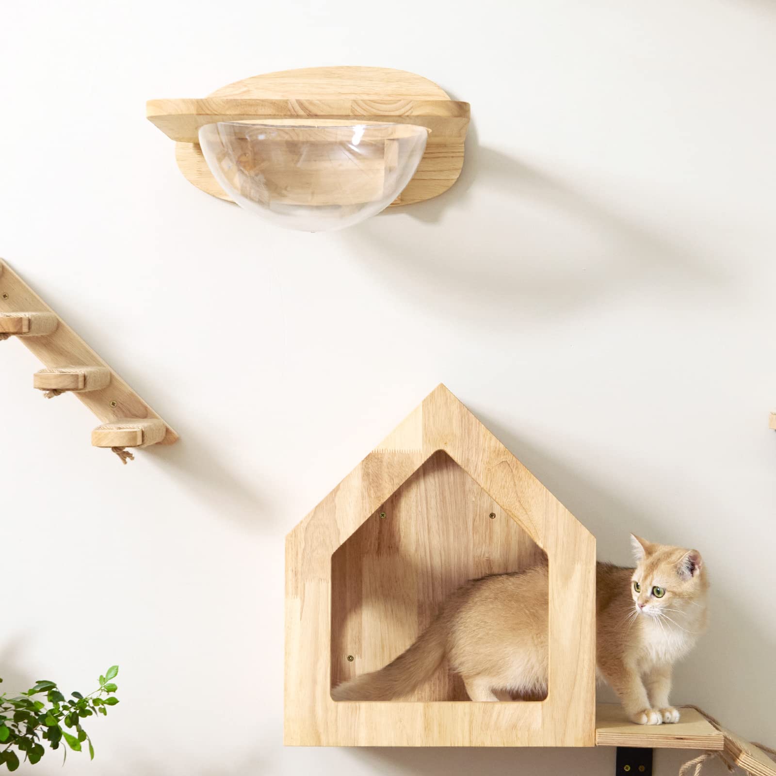 FUKUMARU cat wall set includes satisfaction support within 30 days