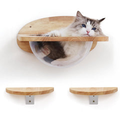 FUKUMARU cat wall capsule 15.7-inch frame offers wide views for curious cats
