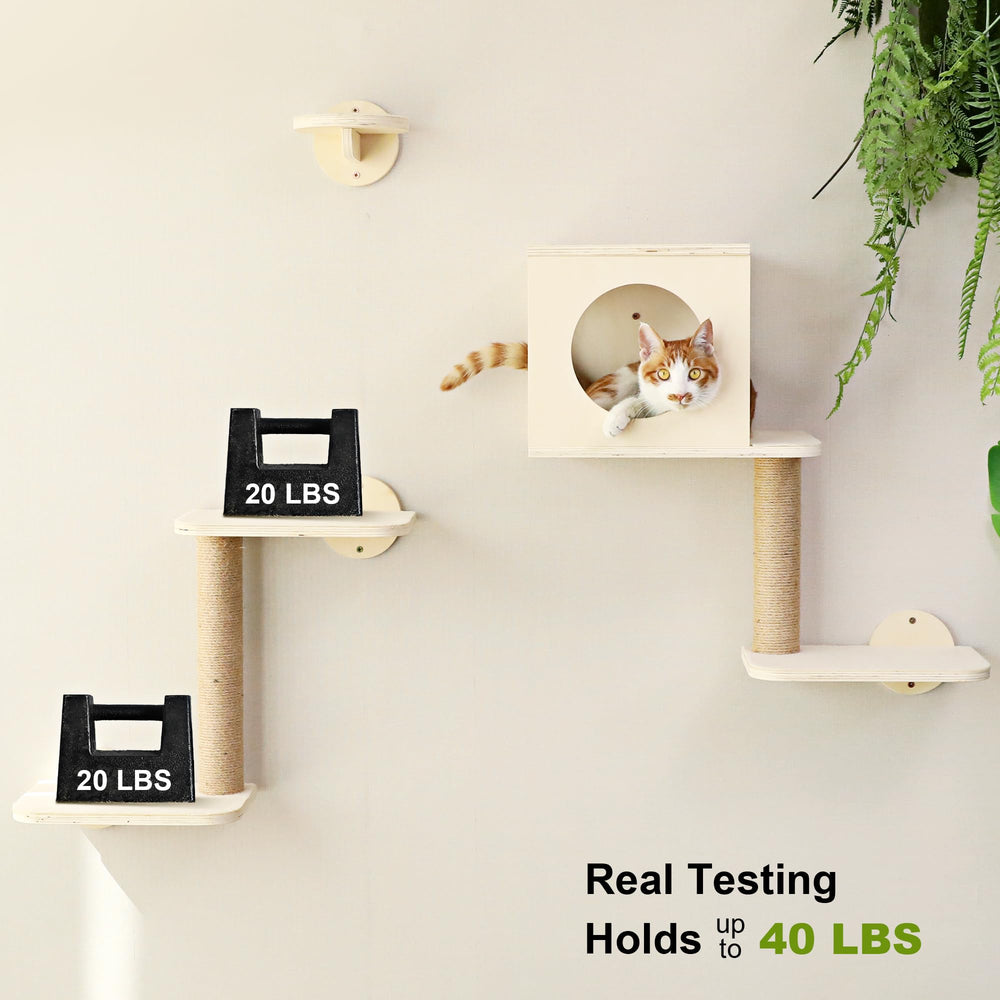 FUKUMARU cat wall shelves beige durability closeup emphasizes robust multilayer wood.