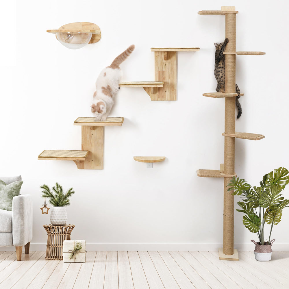 FUKUMARU cat wall shelves vertical space saving for nap and exploration.
