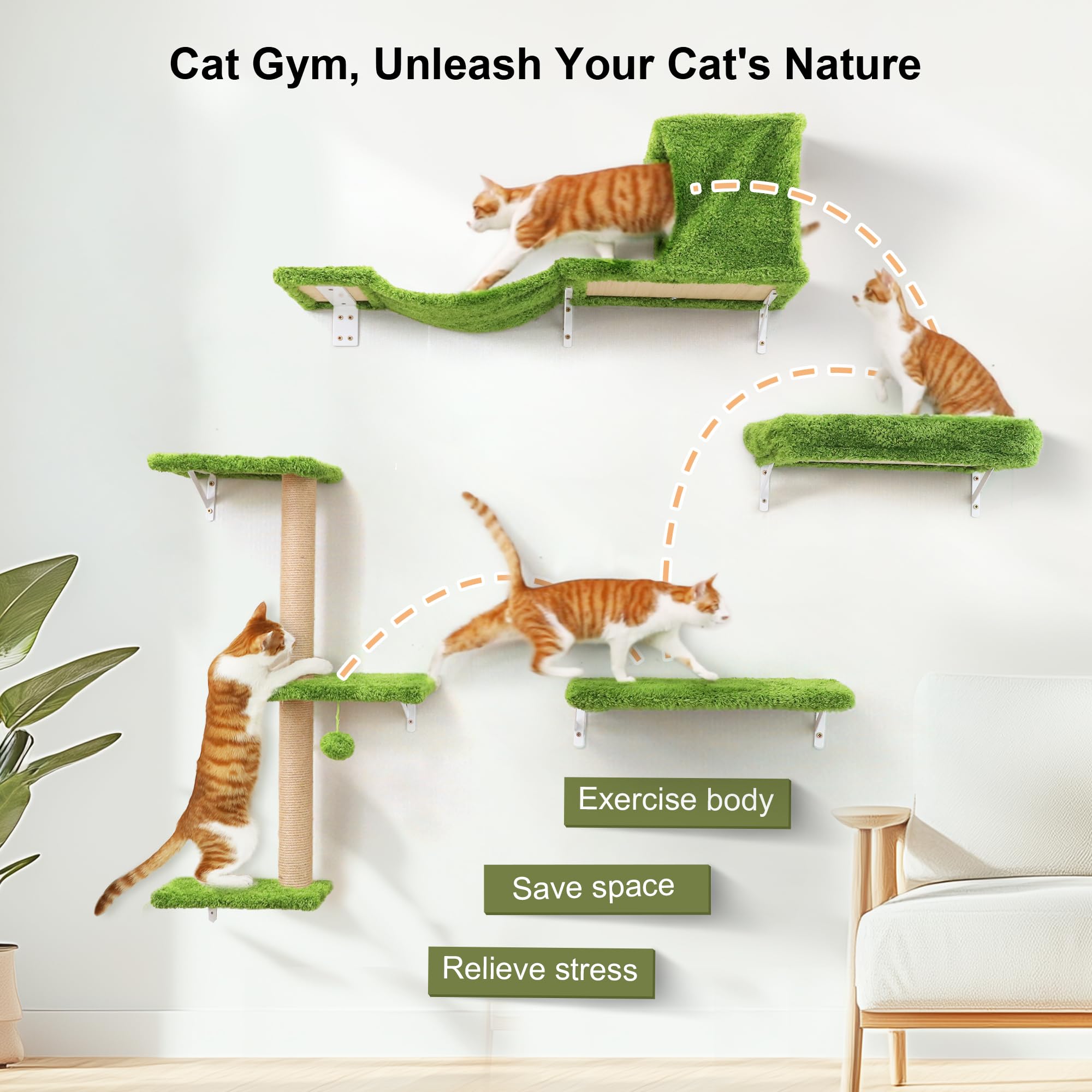 FUKUMARU cat wall shelves drywall installation demonstrates stable mounting