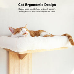 FUKUMARU cat wall shelves drywall mounting for stable installation