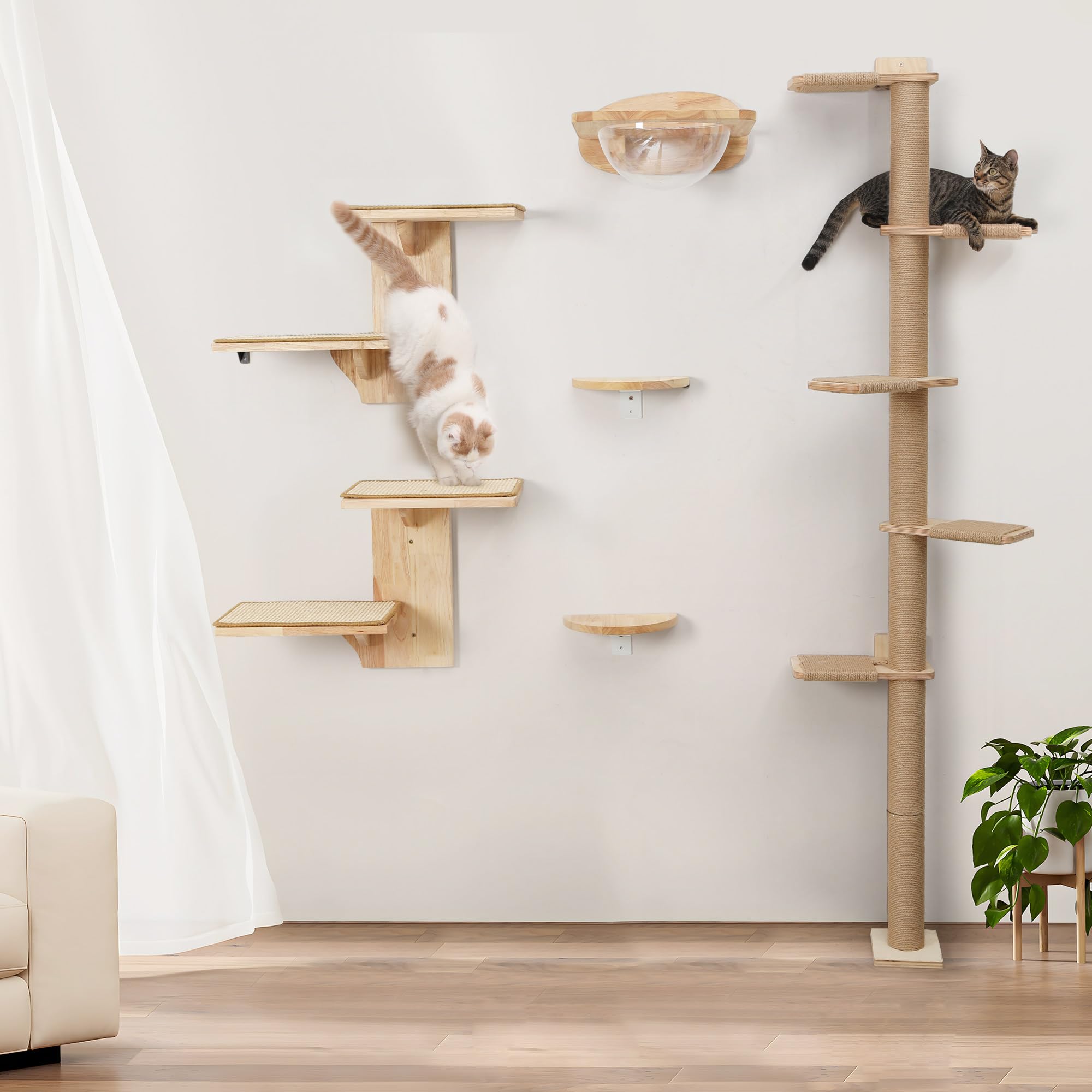 FUKUMARU cat wall shelves gift-ready packaging for cat lovers.