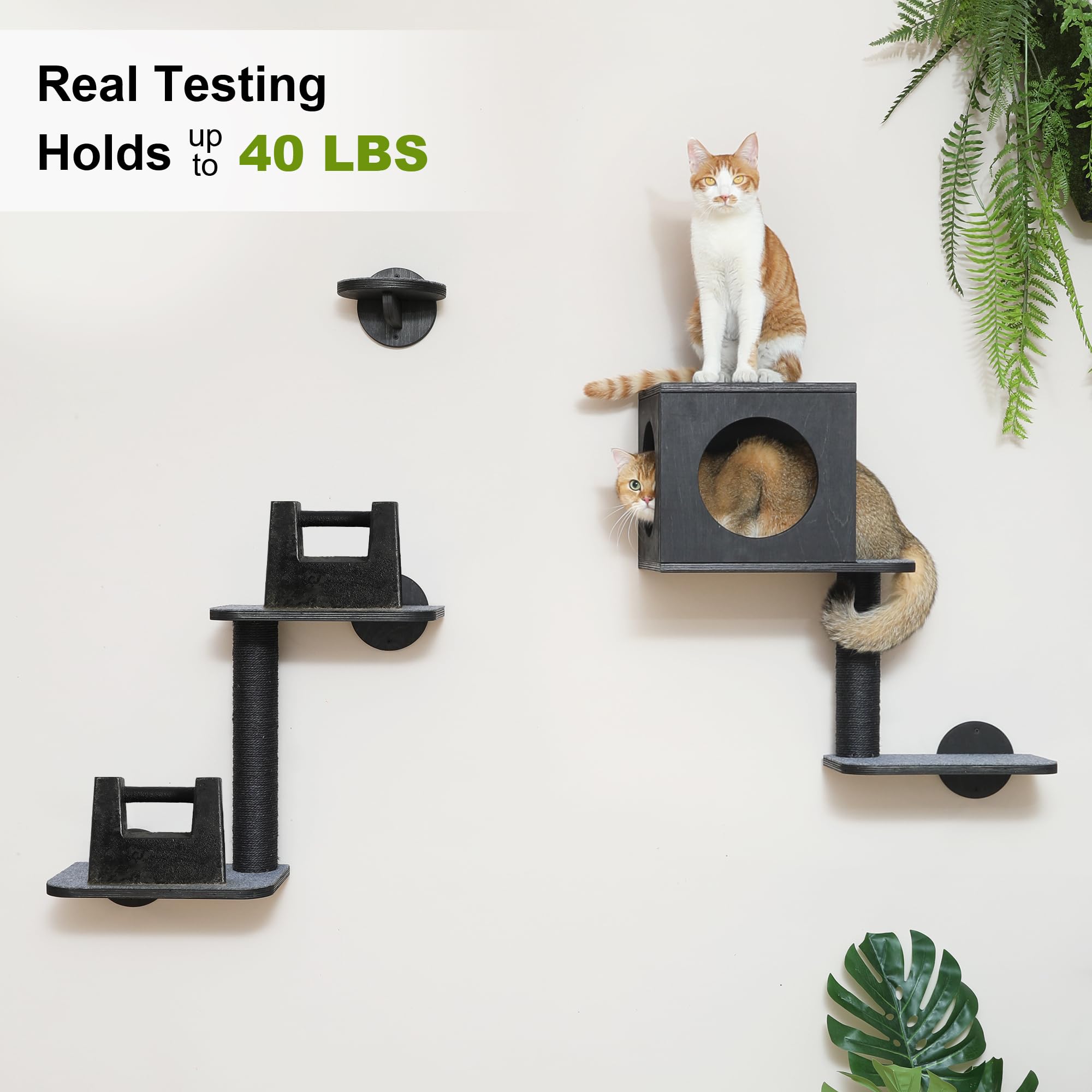 FUKUMARU Cat Wall Shelves hammock offers cozy nap spot with gentle sway.