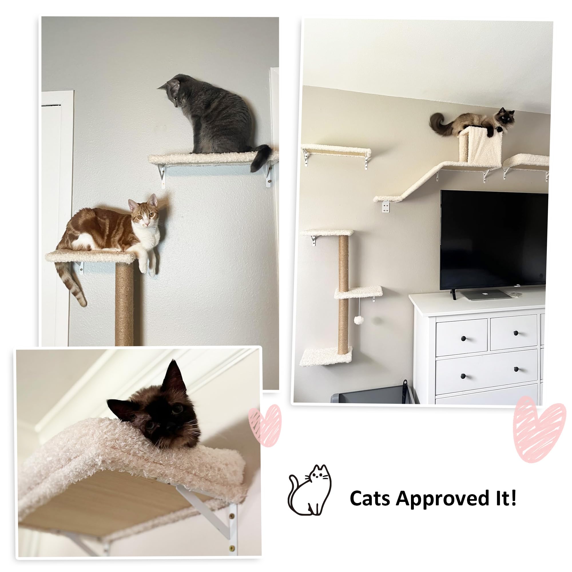 FUKUMARU cat wall shelves multi-function set showcases versatile home gym for pets.