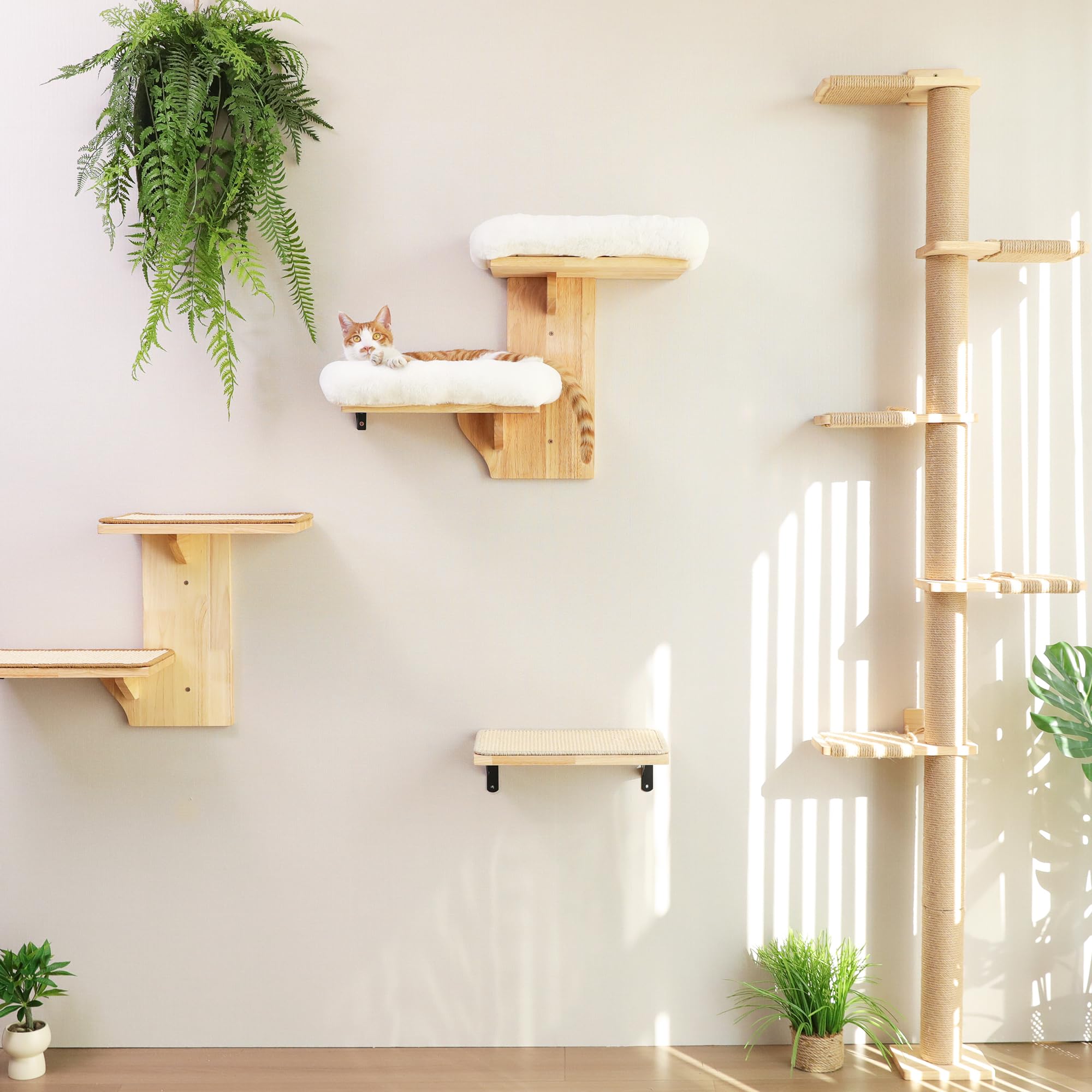 FUKUMARU cat wall shelves solid rubber wood construction durability