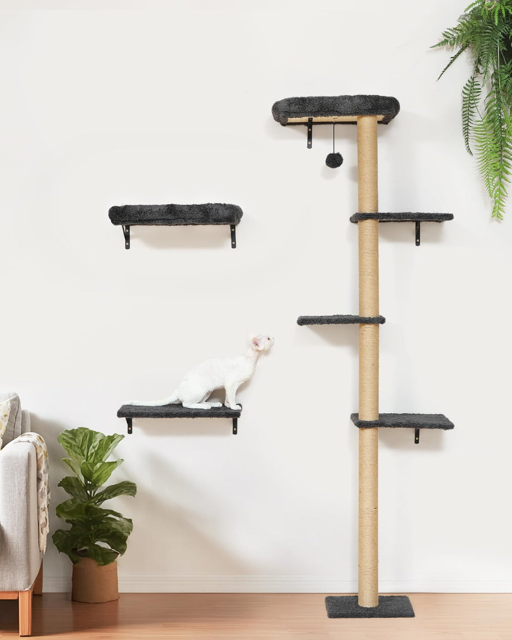 FUKUMARU gray cat wall kit fits window-side or living room spaces