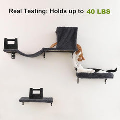 FUKUMARU cat wall shelves wooden wall climbing showcases space-saving exploration for cats.
