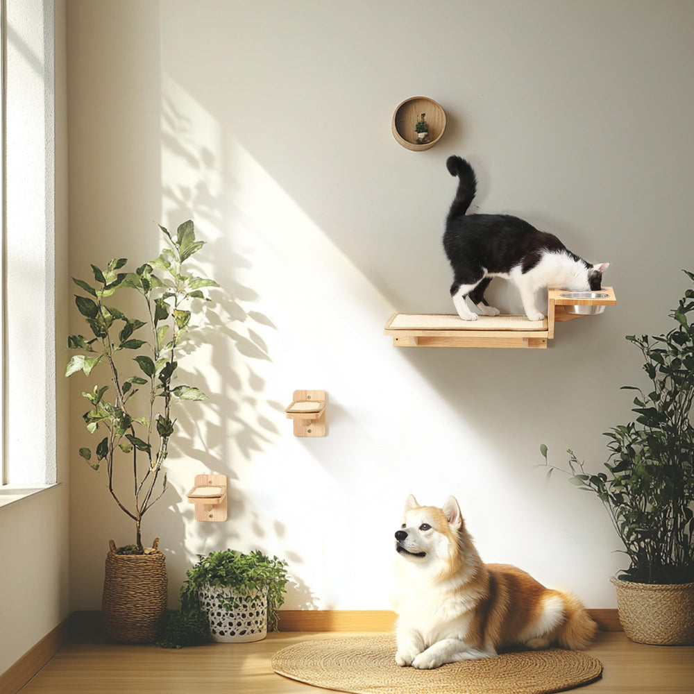 FUKUMARU two-step wall stairs invite climbing to new levels.