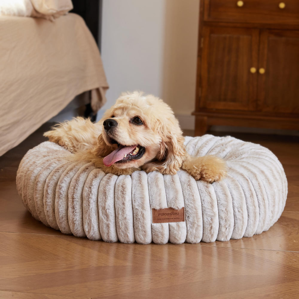 FUKUMARU dog bed camel gradient print for cozy, stylish lounging.