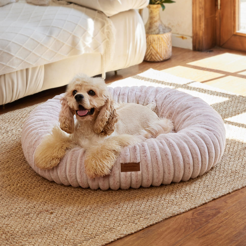 FUKUMARU dog bed gradient print creates a calming nest for anxious dogs.