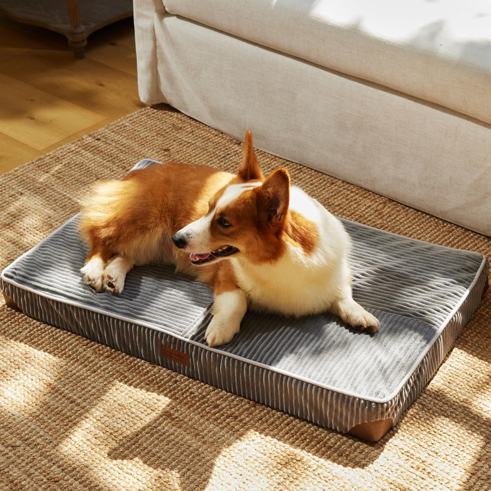 FUKUMARU dog bed thickened foam for joint support and restful sleep.