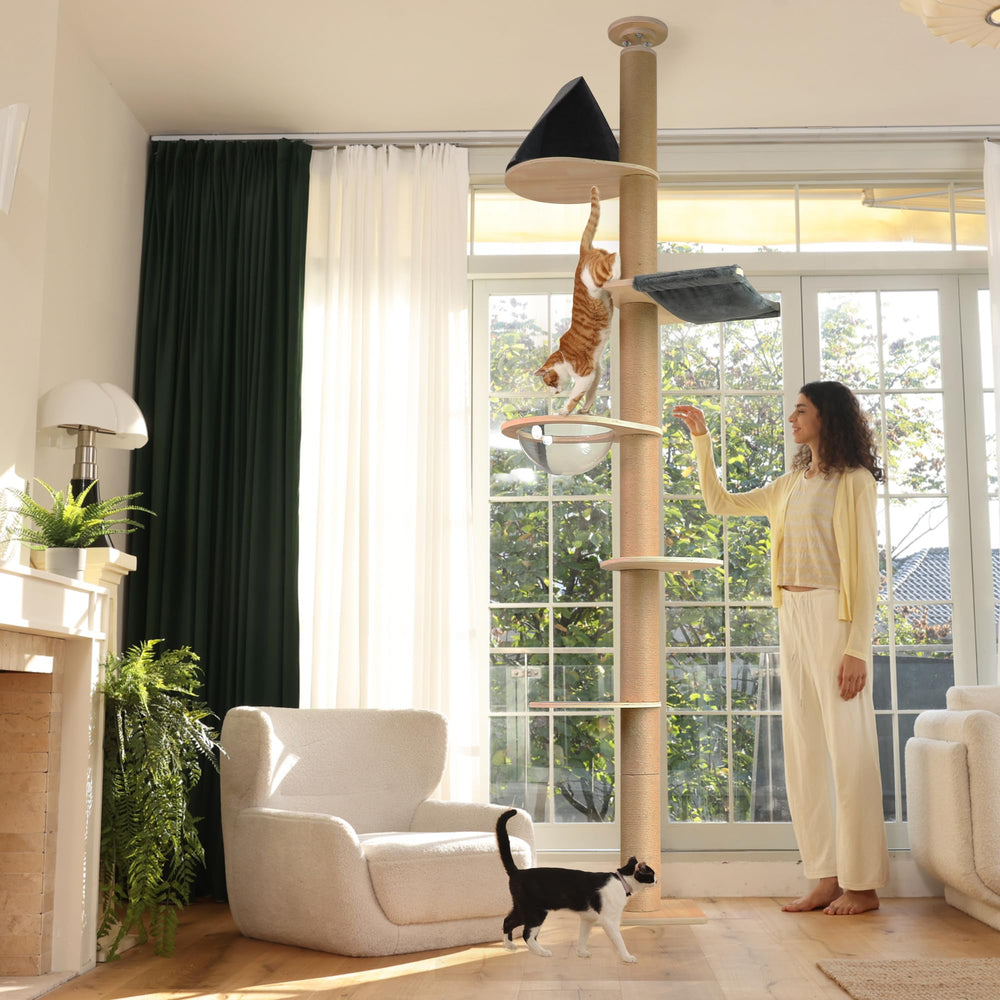 FUKUMARU cat tree adjustable-height demonstrates flexible room placement.