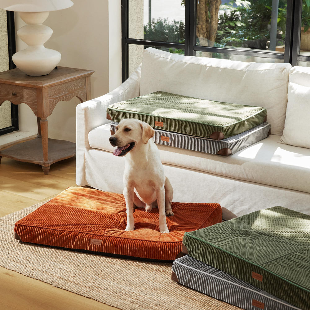 FUKUMARU grey dog bed blends with modern home decor.