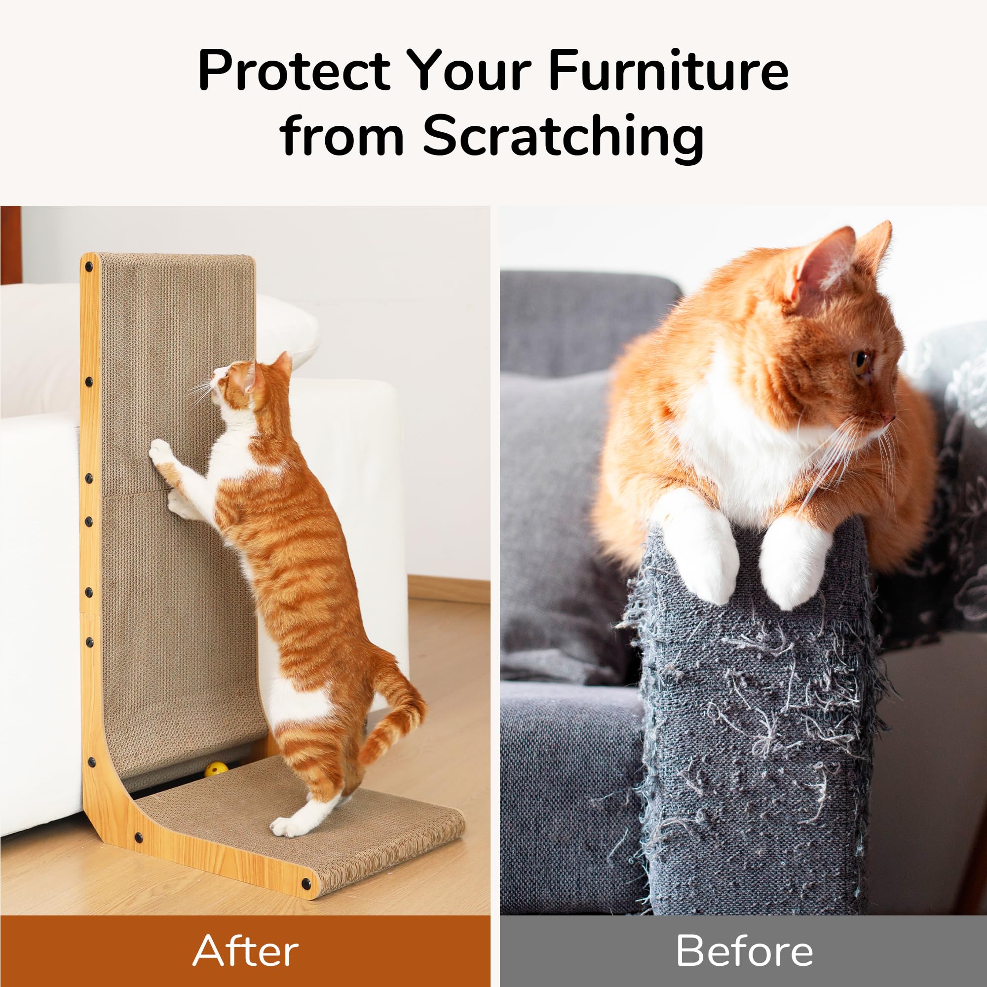FUKUMARU horizontal lounge position demonstrates a relaxing cat spot