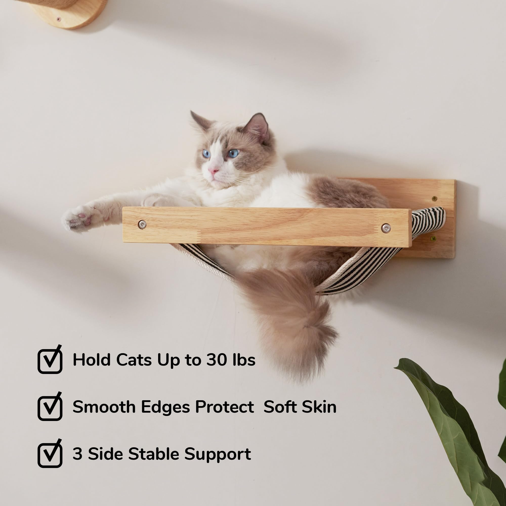 FUKUMARU natural rubber wood cat shelves highlight durability and safety