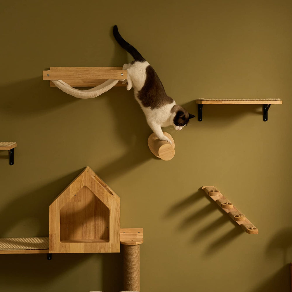 FUKUMARU room-decor-cat-furniture scene demonstrates versatile placement to enhance home aesthetics.