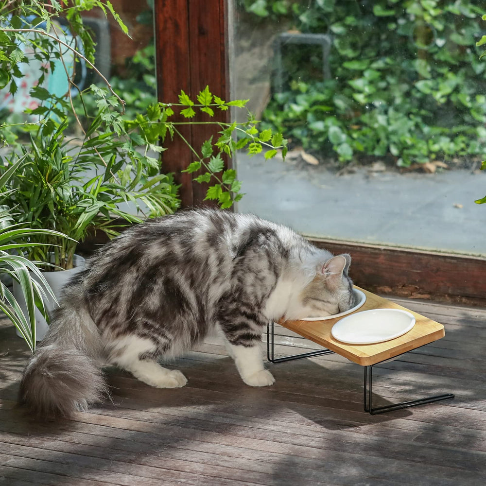 FUKUMARU SGS-certified food-grade ceramic bowls ensure safe meals.