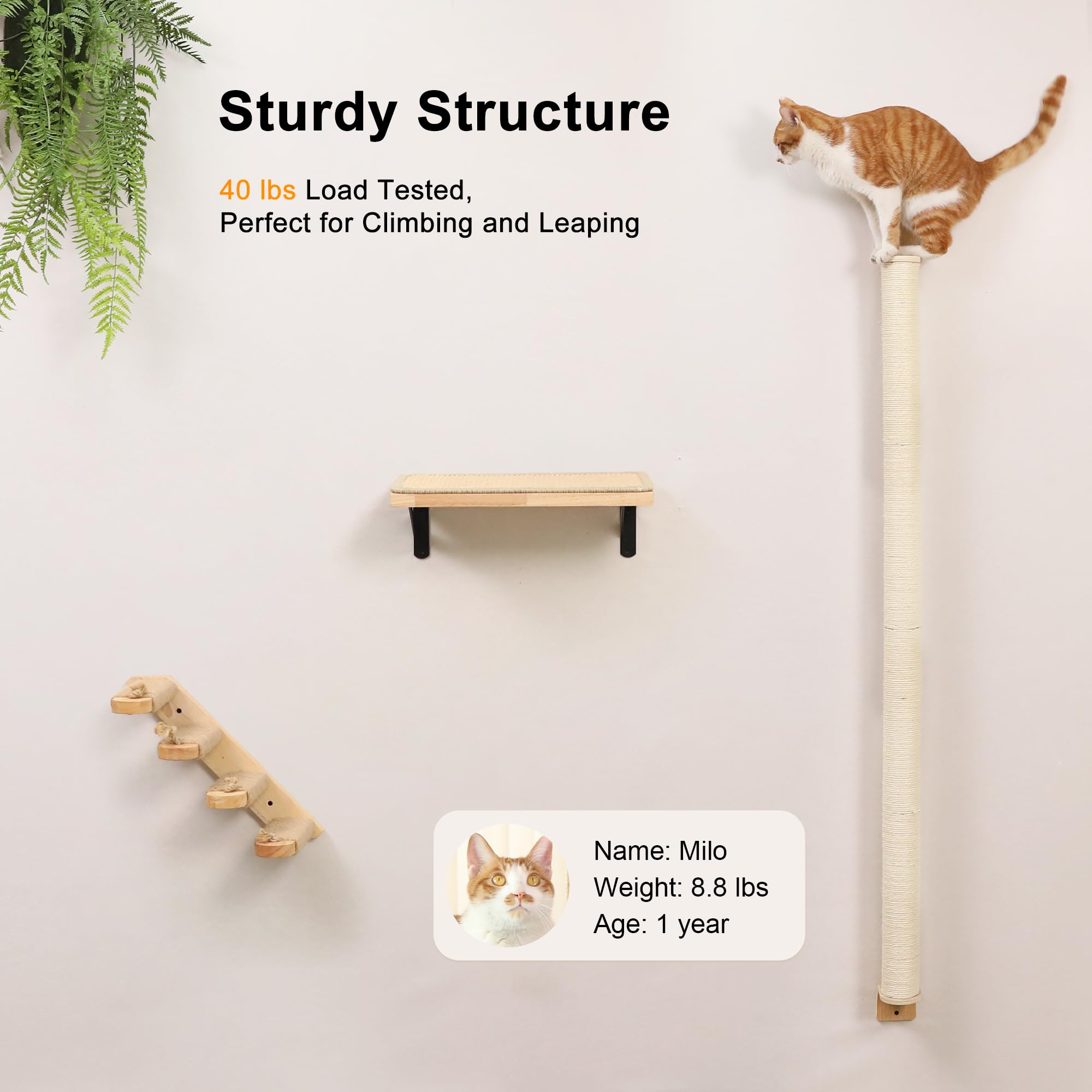 FUKUMARU Cat Wall Scratcher space-saving design helps keep floors clear.