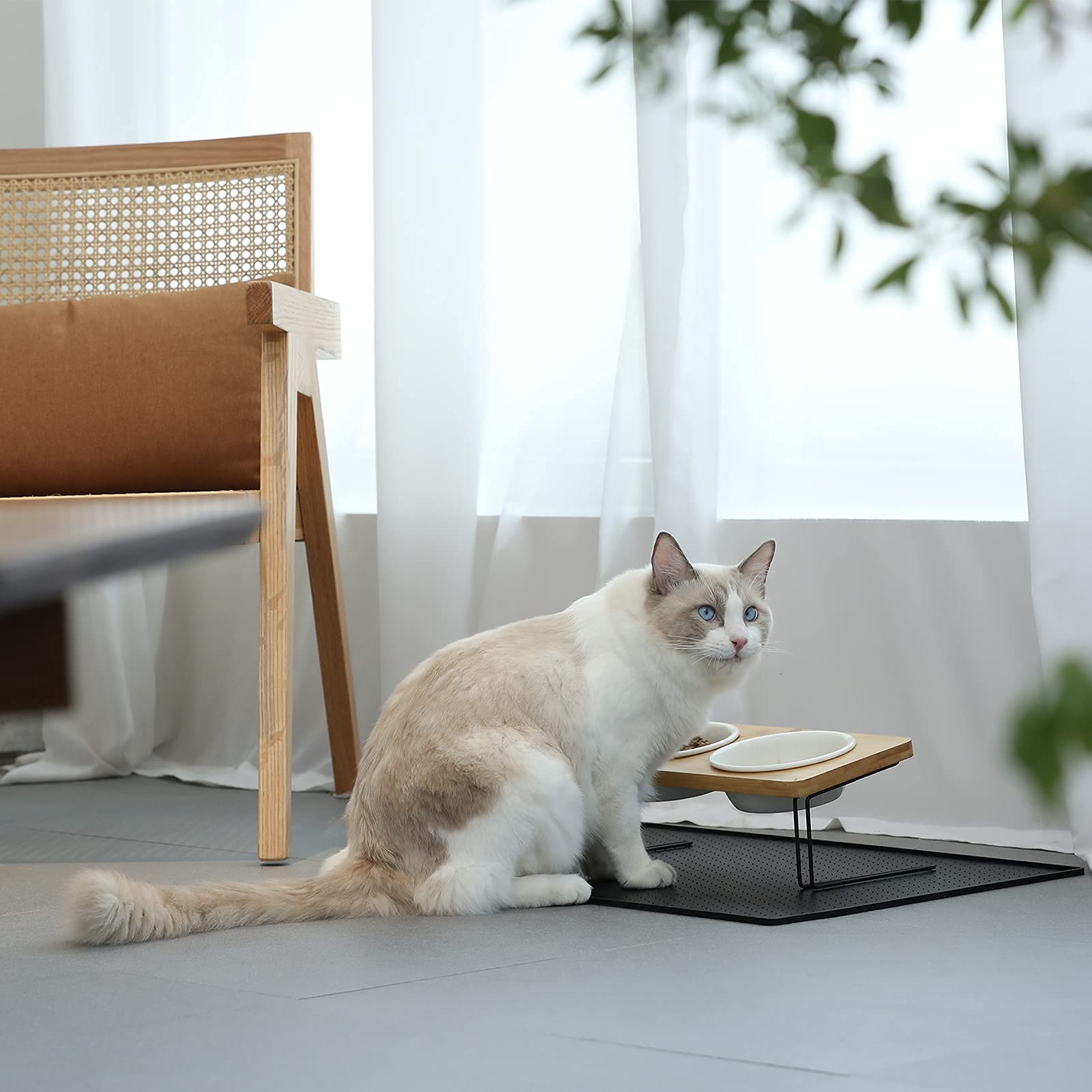 FUKUMARU whisker-friendly shallow bowls minimize whisker fatigue.