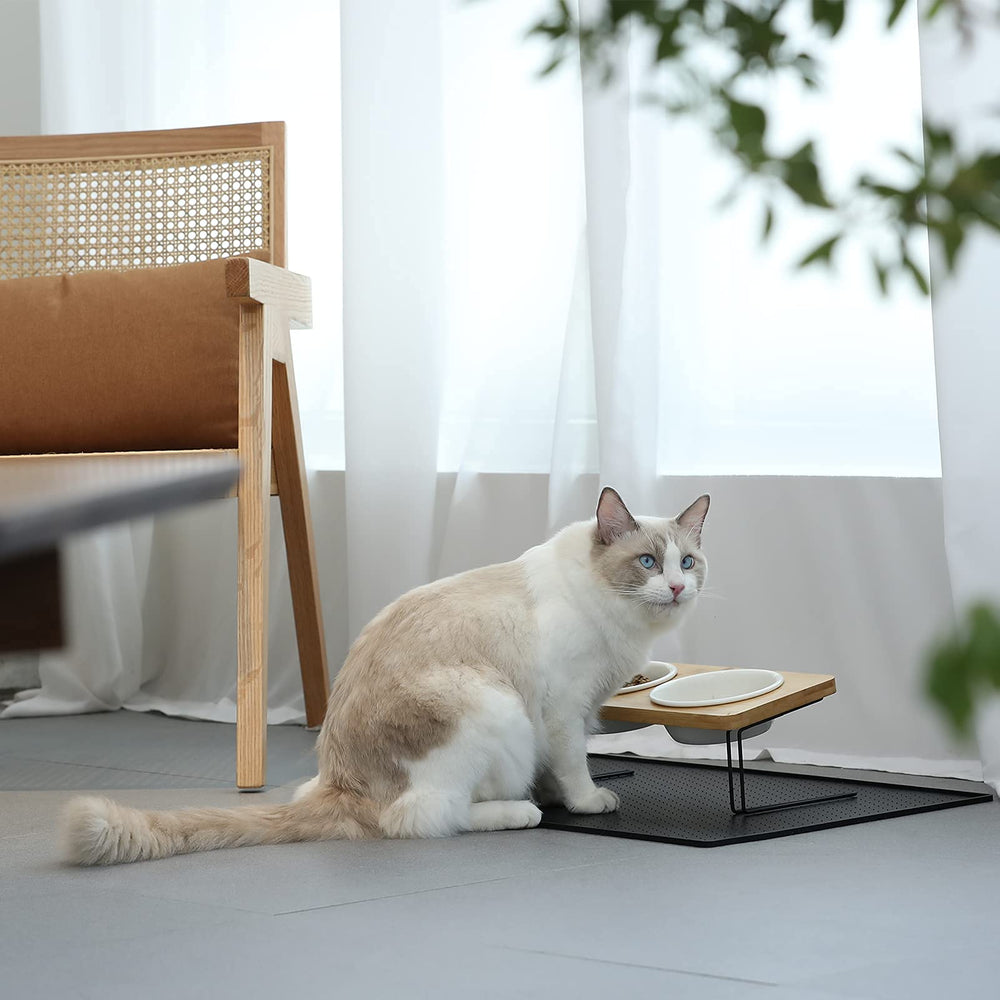 FUKUMARU whisker-friendly shallow bowls minimize whisker fatigue.