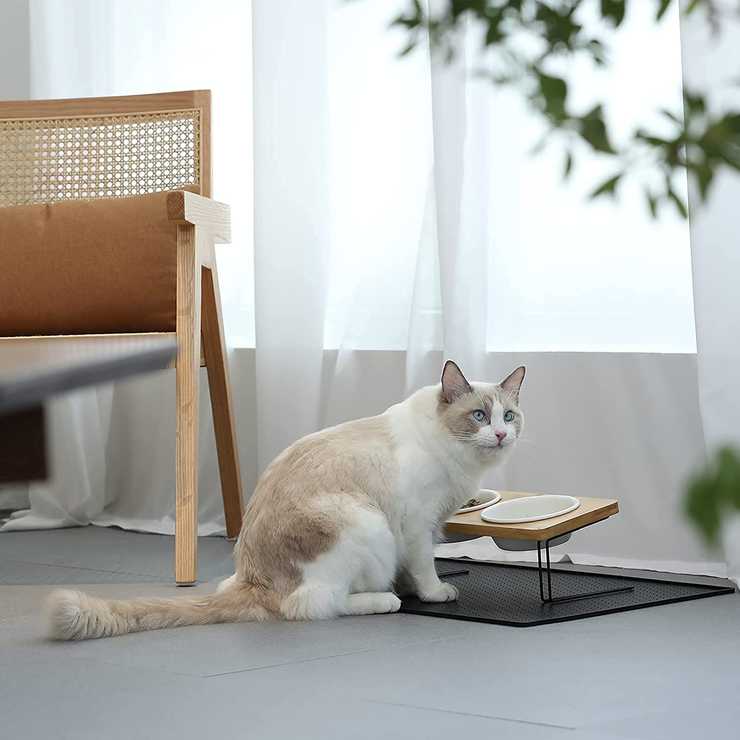 FUKUMARU whisker-friendly design reduces whisker contact during meals