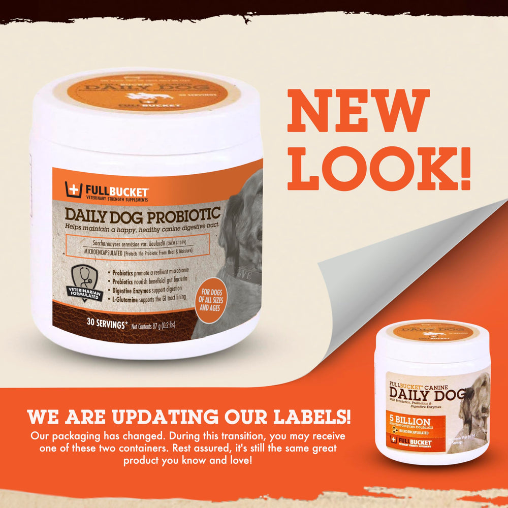 FullBucket Daily Dog Probiotic dosing-scoop for easy meal sprinkling